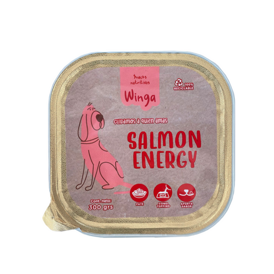 Snack Hipoalergenico Pate para Perros de Salmon Winga 300 GR